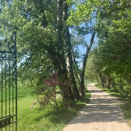 Bed & Breakfast Le Quervalat Dans Magnifique Bastide 18eme *